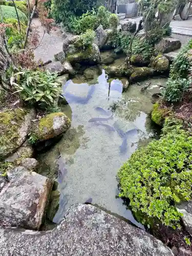 御沢神社(滋賀県)