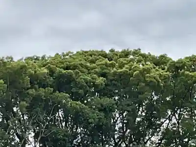 尾張大國霊神社(国府宮)(愛知県)