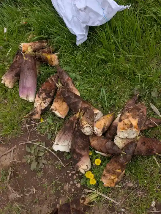 稲荷大明神(神奈川県)