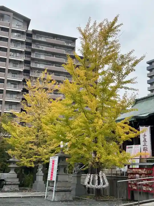 亀戸浅間神社(東京都)