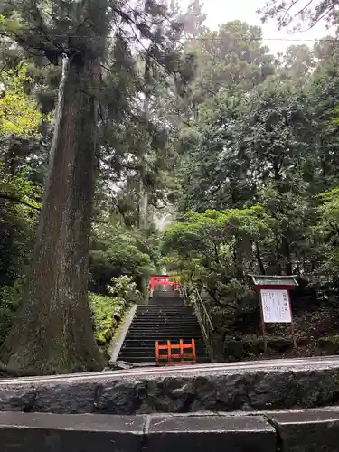 箱根神社のその他建物