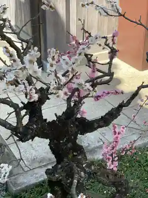 梅香寺(三重県)