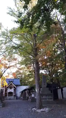 星置神社の自然