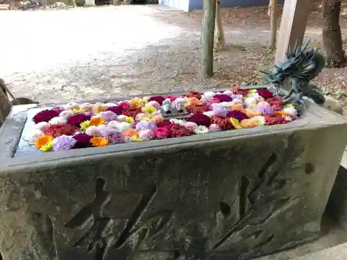 宇佐八幡神社の手水