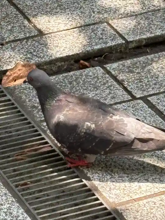 蔵前神社(東京都)