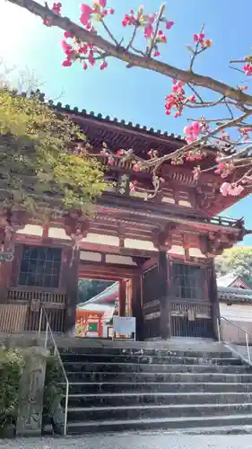 金剛寺の山門