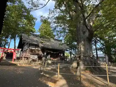 白鳥神社(長野県)