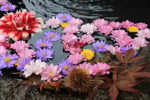 大鏑神社の手水