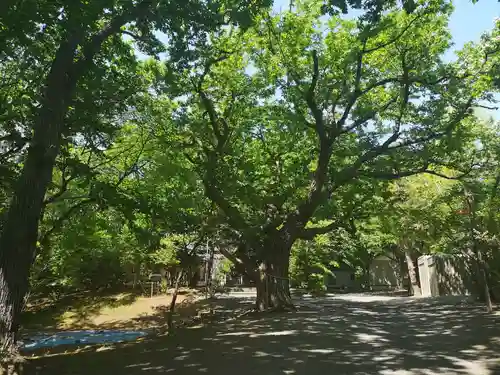 相馬神社の自然