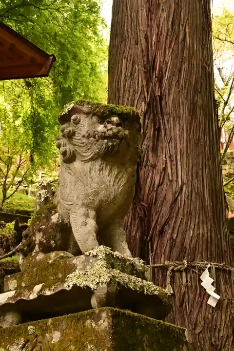 金櫻神社(山梨県)