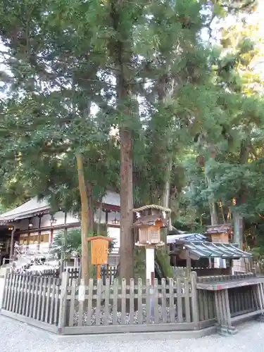 大神神社の自然