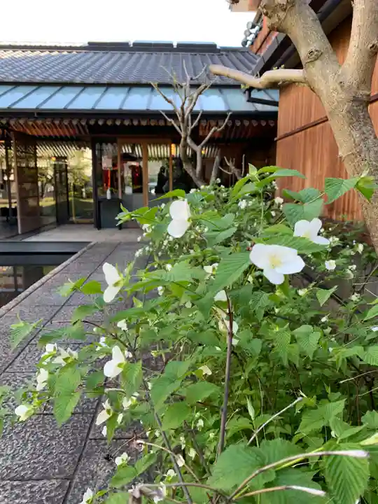 虎屋神社(京都府)