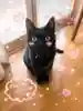 tomoさんのプロフィール画像