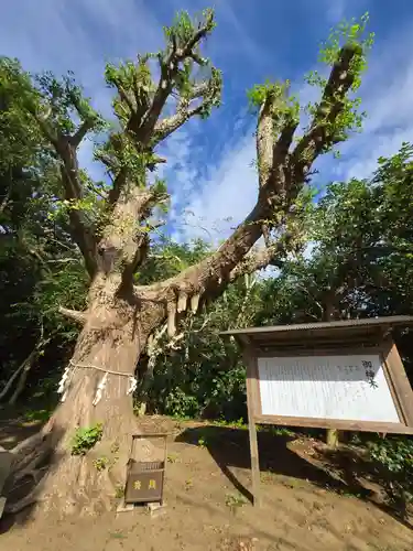 鎌数伊勢大神宮(千葉県)