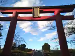 亀戸天神社の鳥居