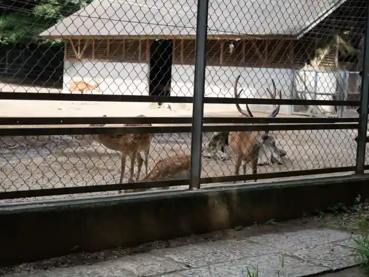 鹿島神宮(茨城県)