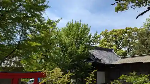 松榮神社の自然