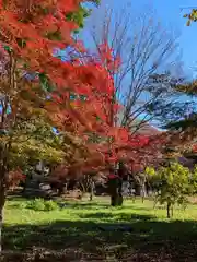 淨眞寺(東京都)