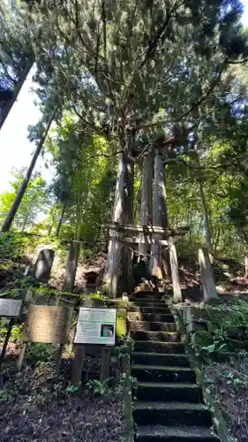 住吉玉津島神社(栃木県)