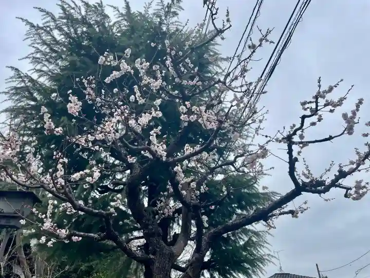 誓閑寺の{uncategorized: "未分類", other: "その他", undefined: "問題あり", building: "その他建物", grave: "お墓", sacred_gate: "鳥居", guardian: "狛犬", statue: "像", buddha: "仏像", history: "歴史", nature: "自然", garden: "庭園", animal: "動物", pagoda: "塔", temizu: "手水舎", mountain_gate: "山門・神門", sanctuary: "本殿・本堂", subordinate: "末社・摂社", art: "芸術", scenery: "景色", jizo: "地蔵", ema: "絵馬", goshuin: "御朱印", omikuji: "おみくじ", items: "授与品その他", amulet: "お守り", goshuincho: "御朱印帳", eats: "食事", festival: "お祭り", votive_dance: "神楽", shichigosan: "七五三参", wedding: "結婚式", experience: "体験その他", initially: "初詣", around: "周辺", anti_infection: "感染症対策"}