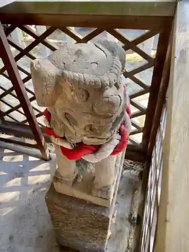 大藤神社の狛犬