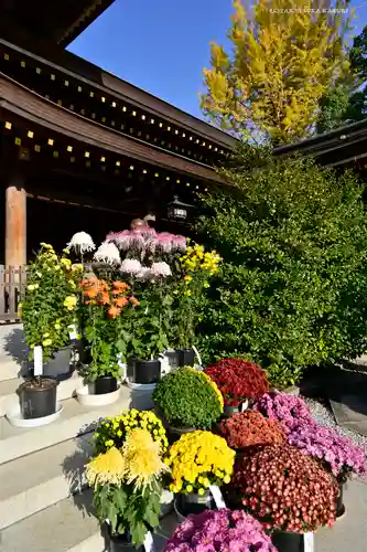 寒川神社(神奈川県)