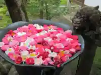 法然院の手水舎