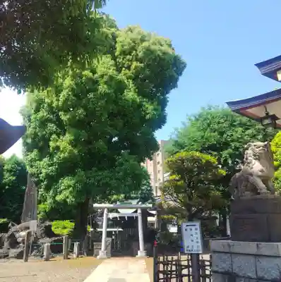 鮫州八幡神社(東京都)