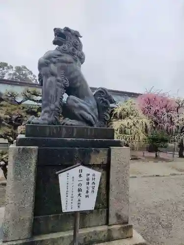 結城神社の狛犬