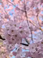 神明氷川神社(東京都)