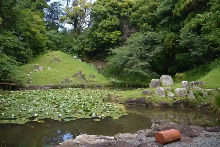 大福寺の庭園