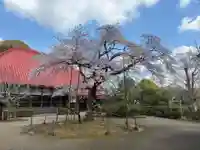 金光院(千葉県)