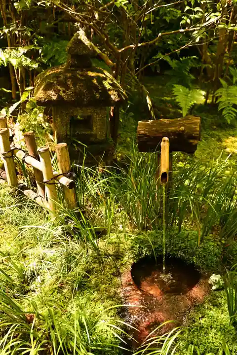 祇王寺(京都府)