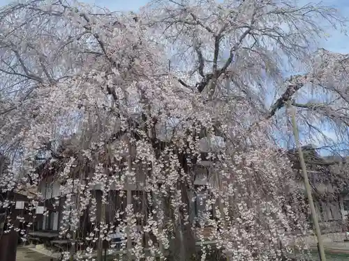 金剛寺(愛知県)