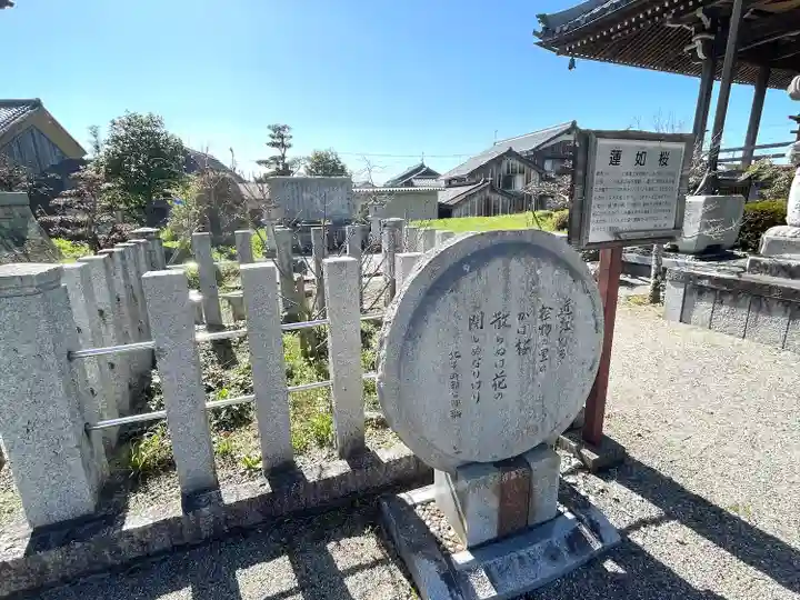 照光寺(滋賀県)