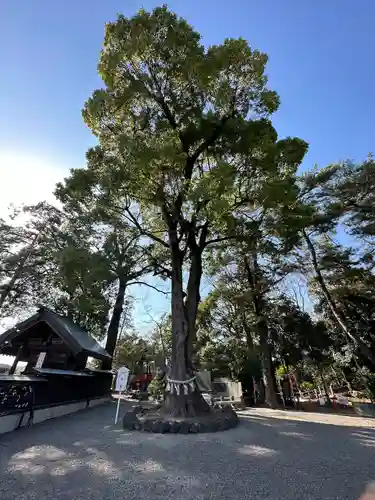 玉村八幡宮の庭園