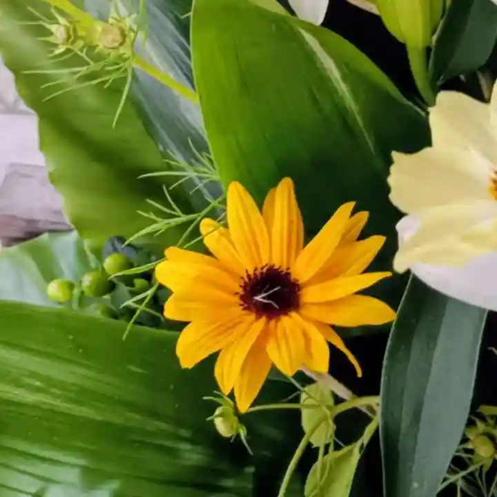彌彦神社 (伊夜日子神社)(北海道)