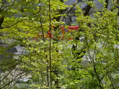 寒河江八幡宮(山形県)