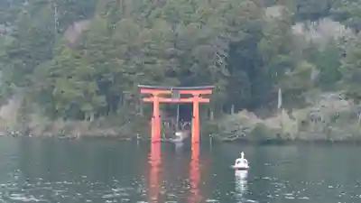 箱根神社(神奈川県)