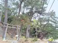 天照神社の景色