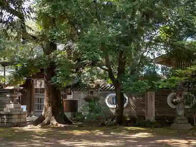 赤坂氷川神社(東京都)