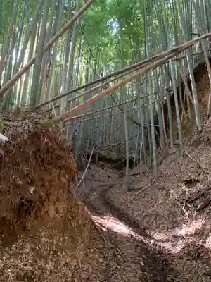 妙見神社(千葉県)