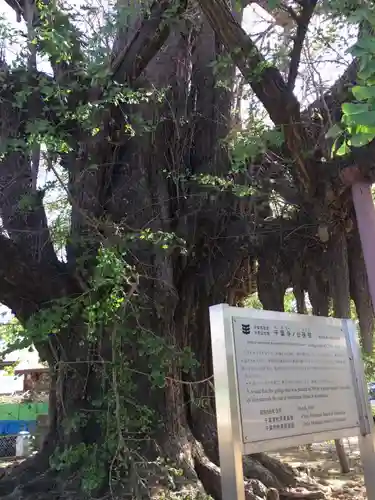 千葉寺のその他建物