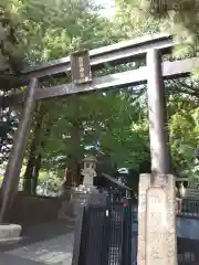 諏訪神社(東京都)