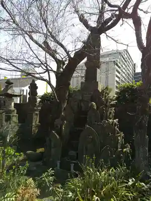 薬師寺 南蔵院 の仏像