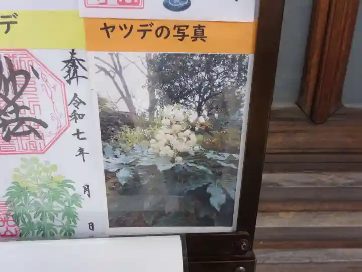 妙蓮寺のその他建物