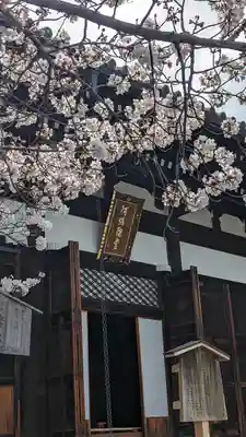 くろ谷 金戒光明寺(京都府)