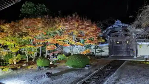 妙顯寺（妙顕寺）(京都府)