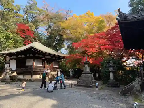 石山寺のその他建物