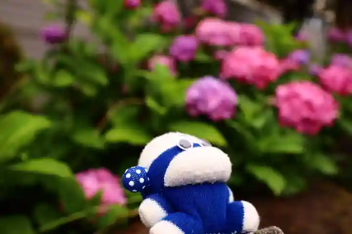 白山神社(東京都)